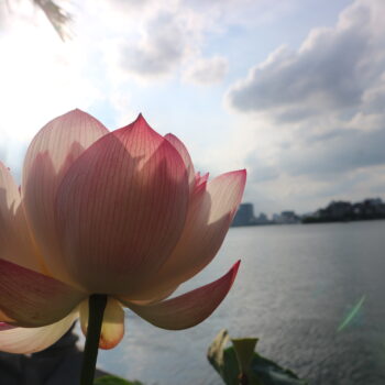 Một cuộc trò chuyện thú vị !