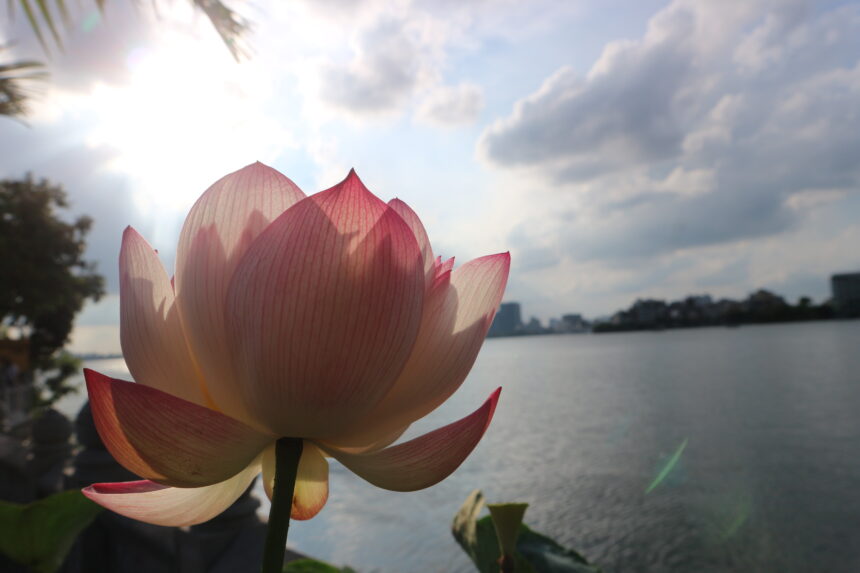 Một cuộc trò chuyện thú vị !