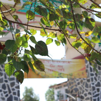 IMG_2983 Câu hỏi về thời khóa biểu của một nhà tu hành Phật giáo