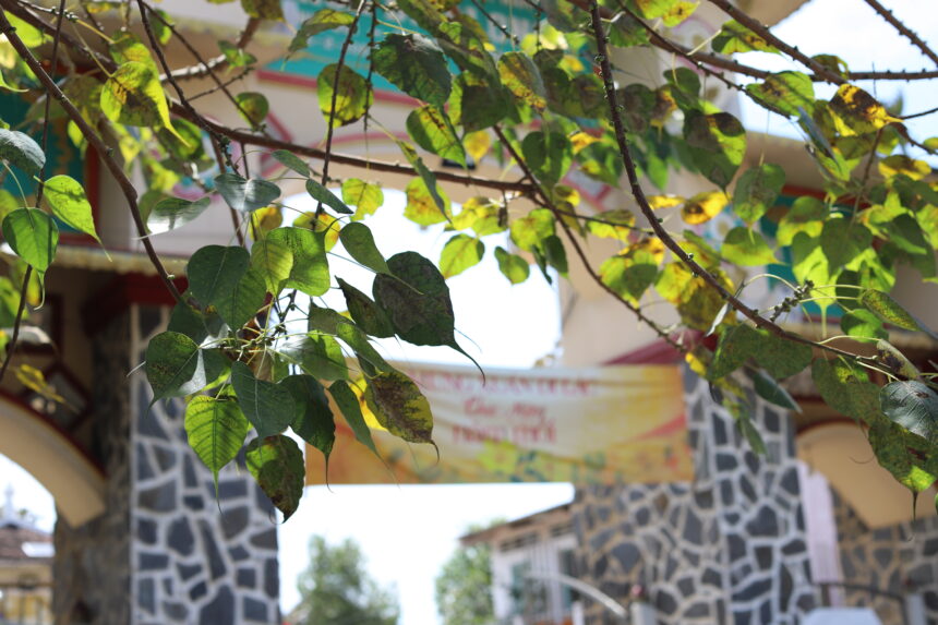 IMG_2983 Câu hỏi về thời khóa biểu của một nhà tu hành Phật giáo